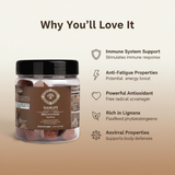 Birch Chaga Truffles - Image 4: Science-Backed Benefits