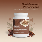 Plant Protein (Chocolate) - Image 1: Hero (STUNNING)