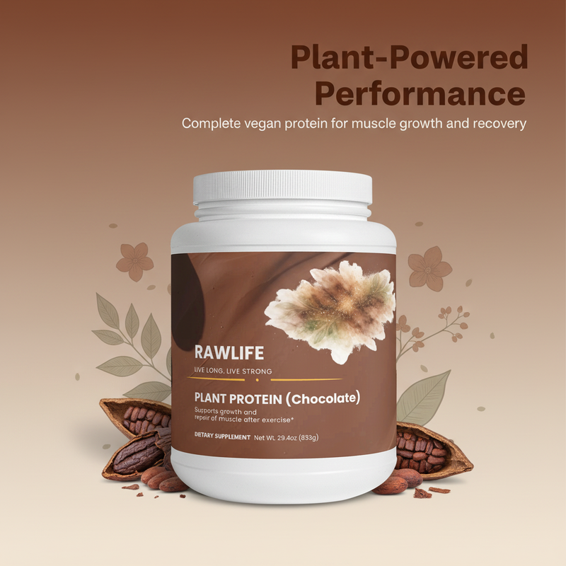 Plant Protein (Chocolate) - Image 1: Hero (STUNNING)