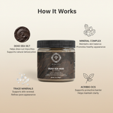 RAWLIFE Dead Sea Mud - How It Works (Corrected)